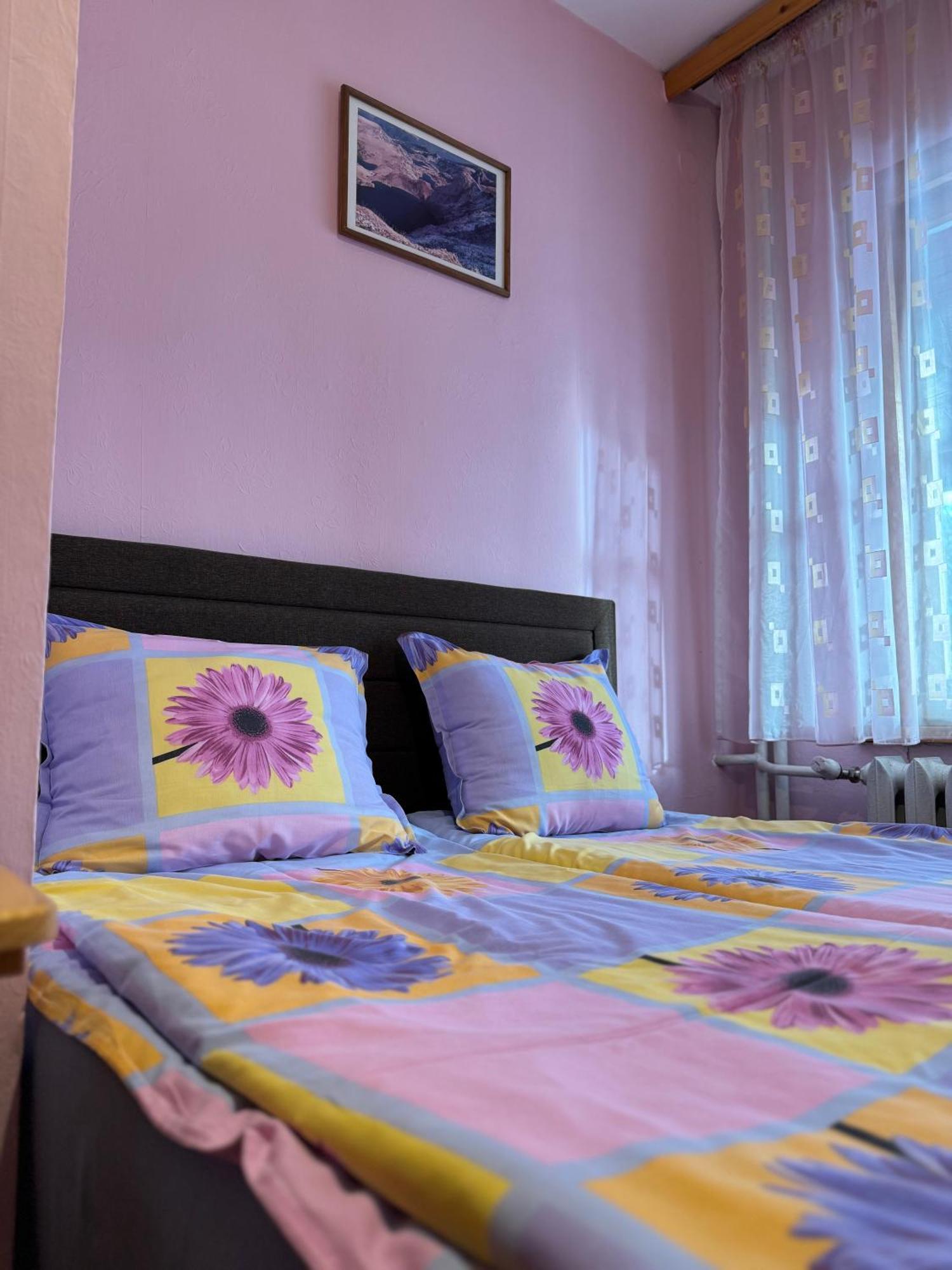 Mama Emiliya Guest House بيلي اسكار المظهر الخارجي الصورة