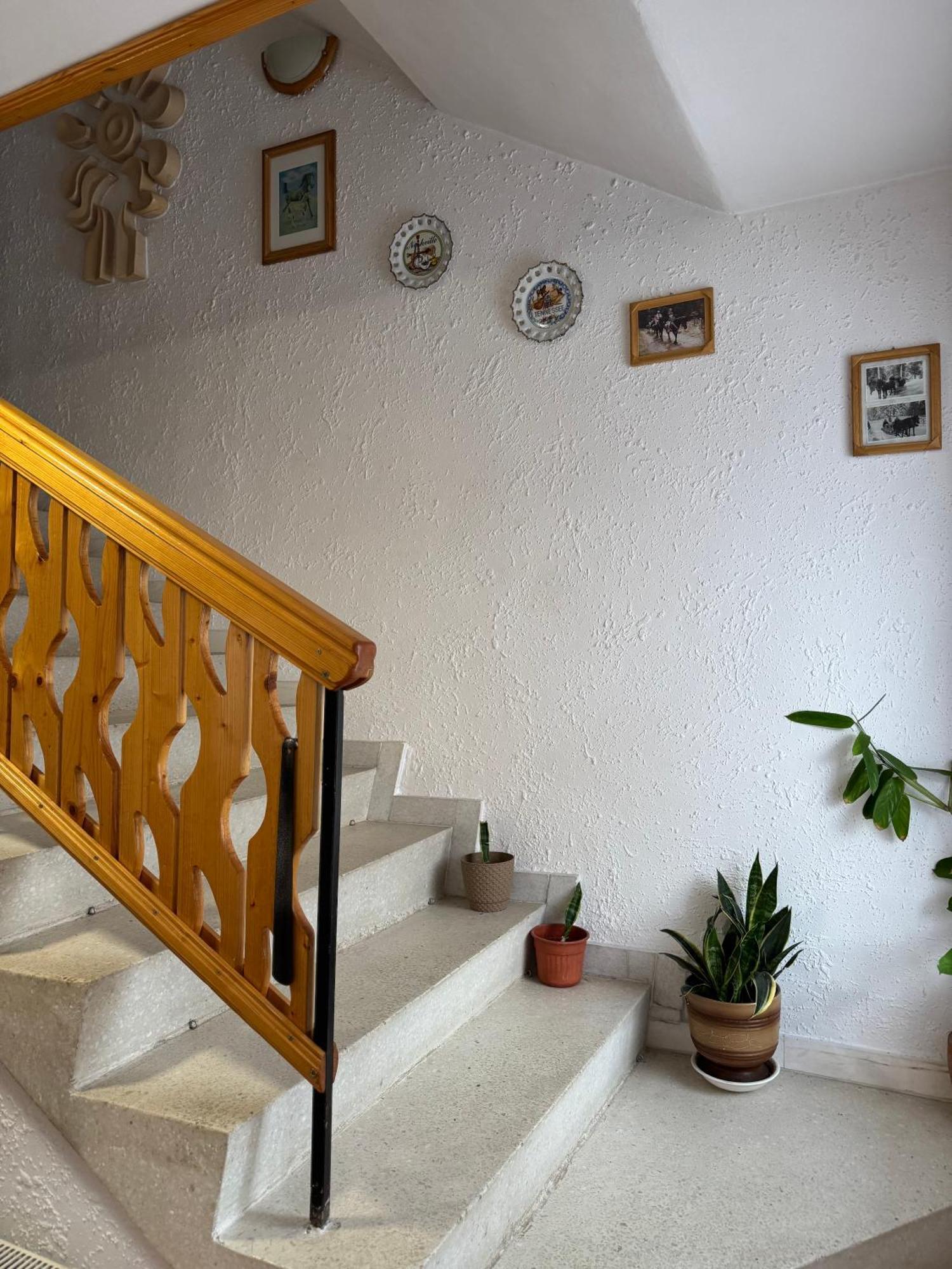Mama Emiliya Guest House بيلي اسكار المظهر الخارجي الصورة